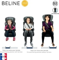 Nania - Autostoel BELINE Animals - Groep 1/2/3 - Meegroeistoel - Van 9 Tot 36 Kg - FLAMINGO -Babyproducten Winkel 1187x1200