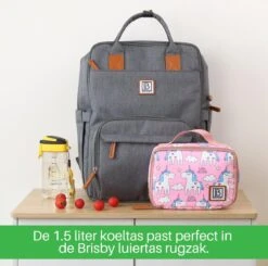 Brisby Slijtvaste Luiertas – Verzorgingstas – Met Buggymontage -Donkergrijs -Babyproducten Winkel 1200x1191 5