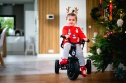 Lionelo Haari - Driewieler - Drankhouder - 2in1 - Tot 36+ 33 Lionelo Haari - Driewieler - Drankhouder - 2in1 - Tot 36+ -Babyproducten Winkel 1200x799 15