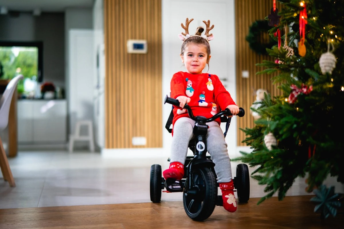 Lionelo Haari - Driewieler - Drankhouder - 2in1 - Tot 36+ 14 Lionelo Haari - Driewieler - Drankhouder - 2in1 - Tot 36+ - Afbeelding 14