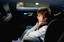 Lionelo Bastiaan - Autostoel - 360° Draaibaar - ISOFIX 26 Lionelo Bastiaan - Autostoel - 360° Draaibaar - ISOFIX -Babyproducten Winkel 1200x800 20