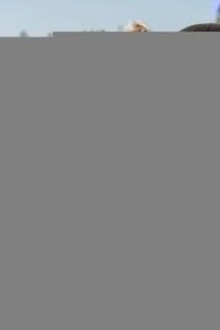 Baby's Only Voetenzak Buggy - Buggyzak Classic - Zand - Geschikt Voor 3-puntsgordel -Babyproducten Winkel 800x1200 201