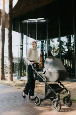 Anex E/type 2-in-1 Cross Kinderwagen - Noir -Babyproducten Winkel 801x1200 15